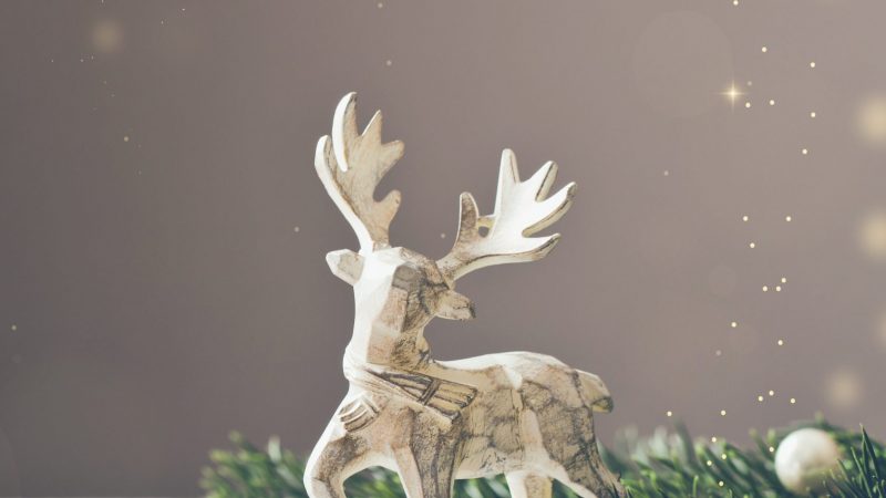 21.11.2026 18:30 Uhr  Weihnachtsfeier – Ort wird noch bekanntgegeben